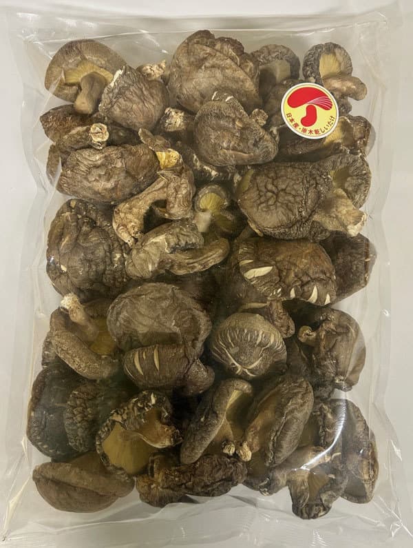 宮崎県産 原木しいたけ 業務用 厚肉 【大】 500g